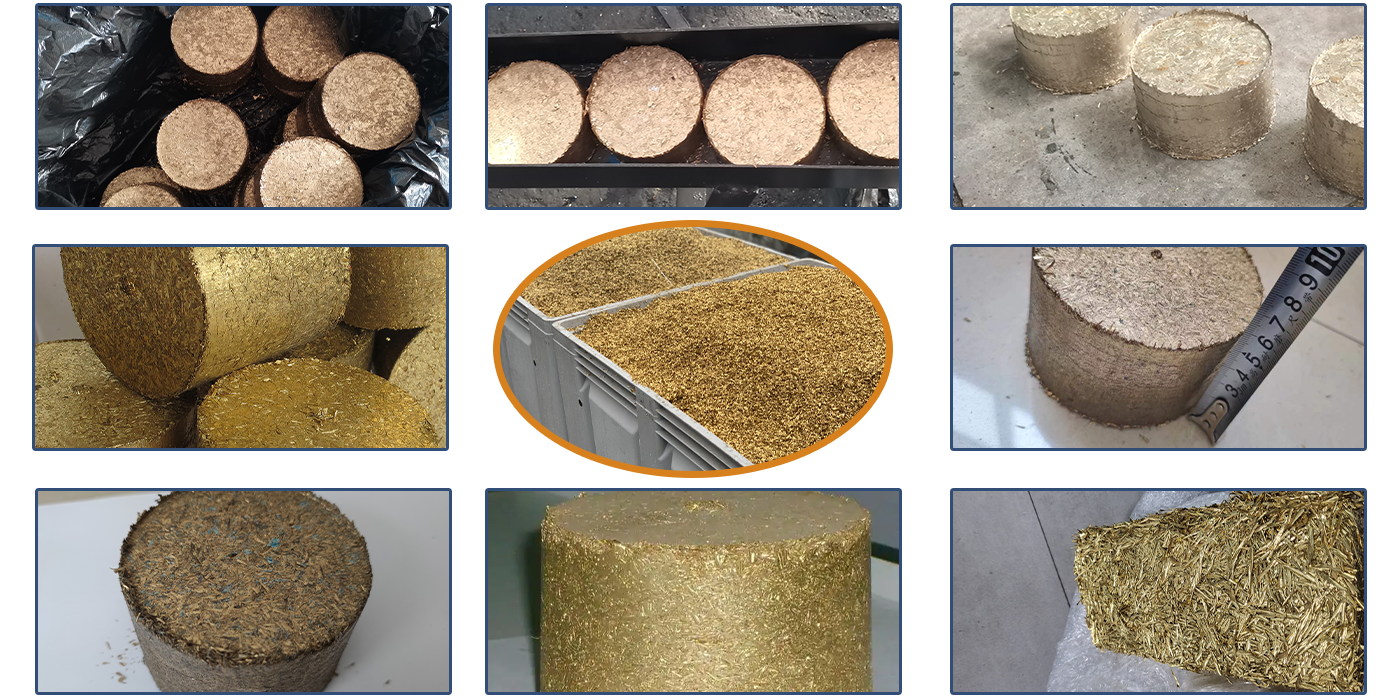 1764296775823713.png 11.png