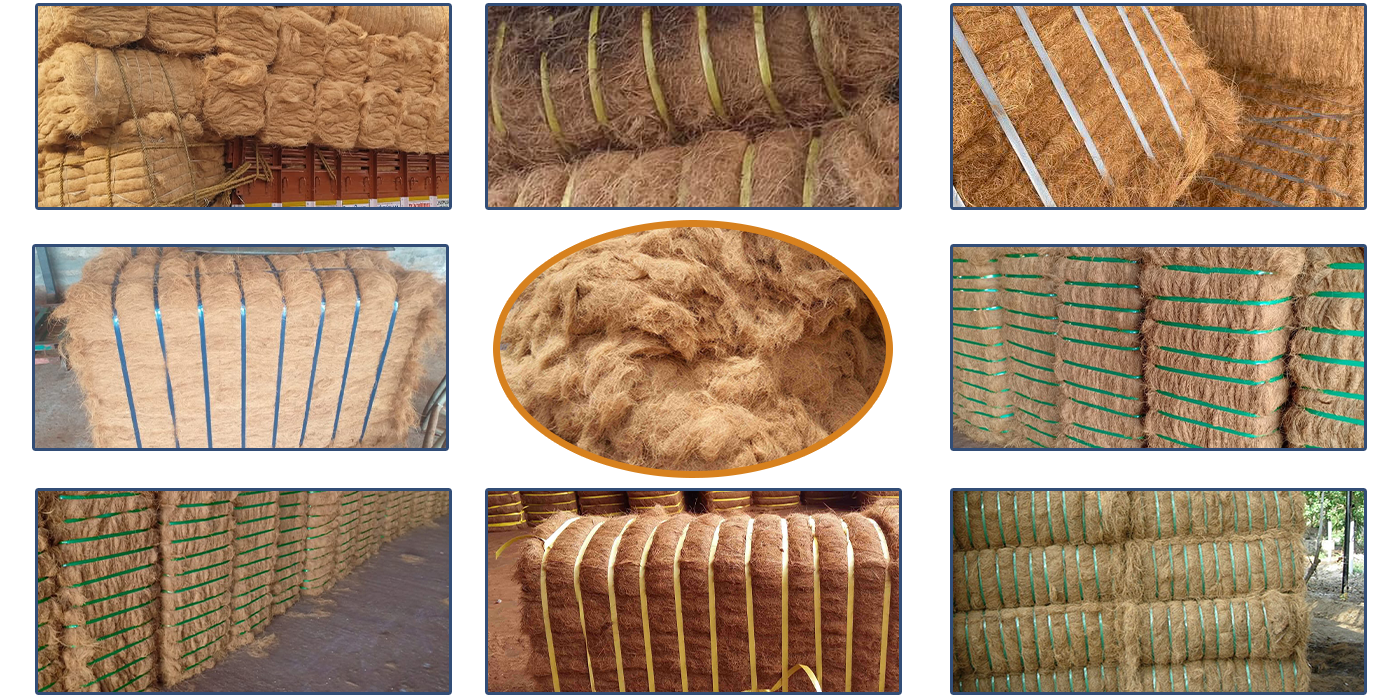 1764313487639567.png 11.png