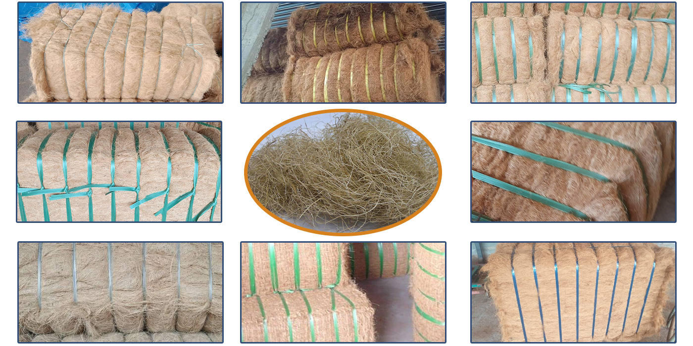 1764314161168250.png 11.png