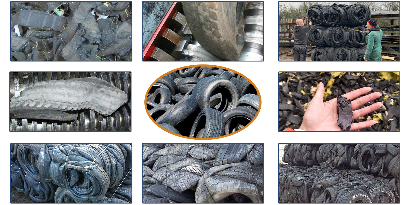 1764341801407524.png 11.png