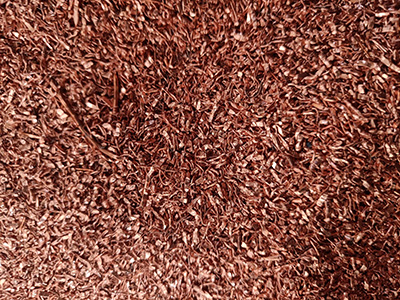 WhatsApp Image 2024-06-09 at 17.14.30 (1).jpg