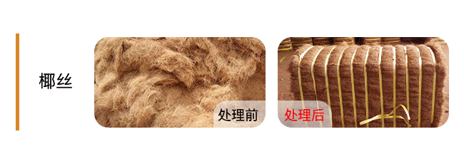 +Coir-Fiber-椰丝..png