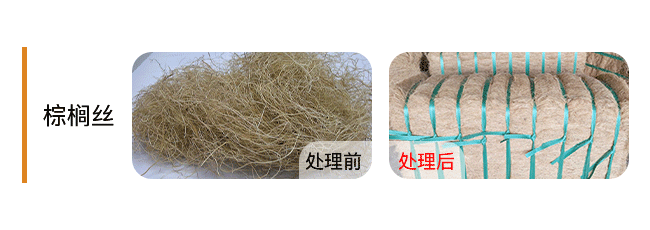 +Palm-Fiber-棕榈丝..png