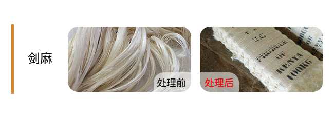 +Sisal-Fiber-剑麻..png