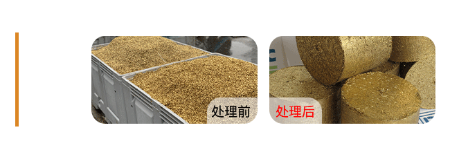 Brass-Chips-黄铜屑..png
